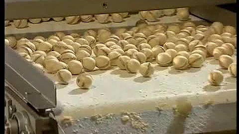 Hebenstreit filled wafer ball line for Ferrero Roc...