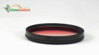 58mm Gradual Orange Color Lens Filter  from Dinodirect.com