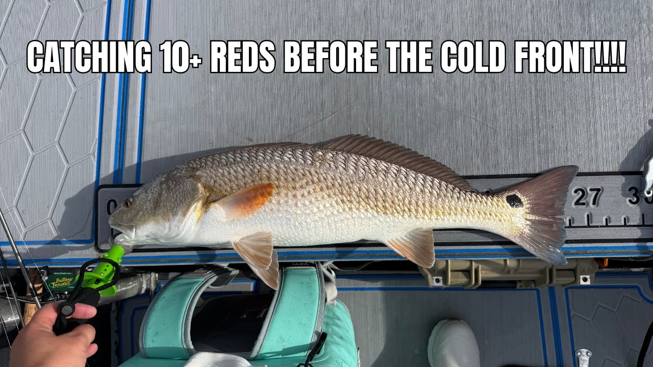 Catching Redfish on the Upper Texas Coast Before the Cold Front!