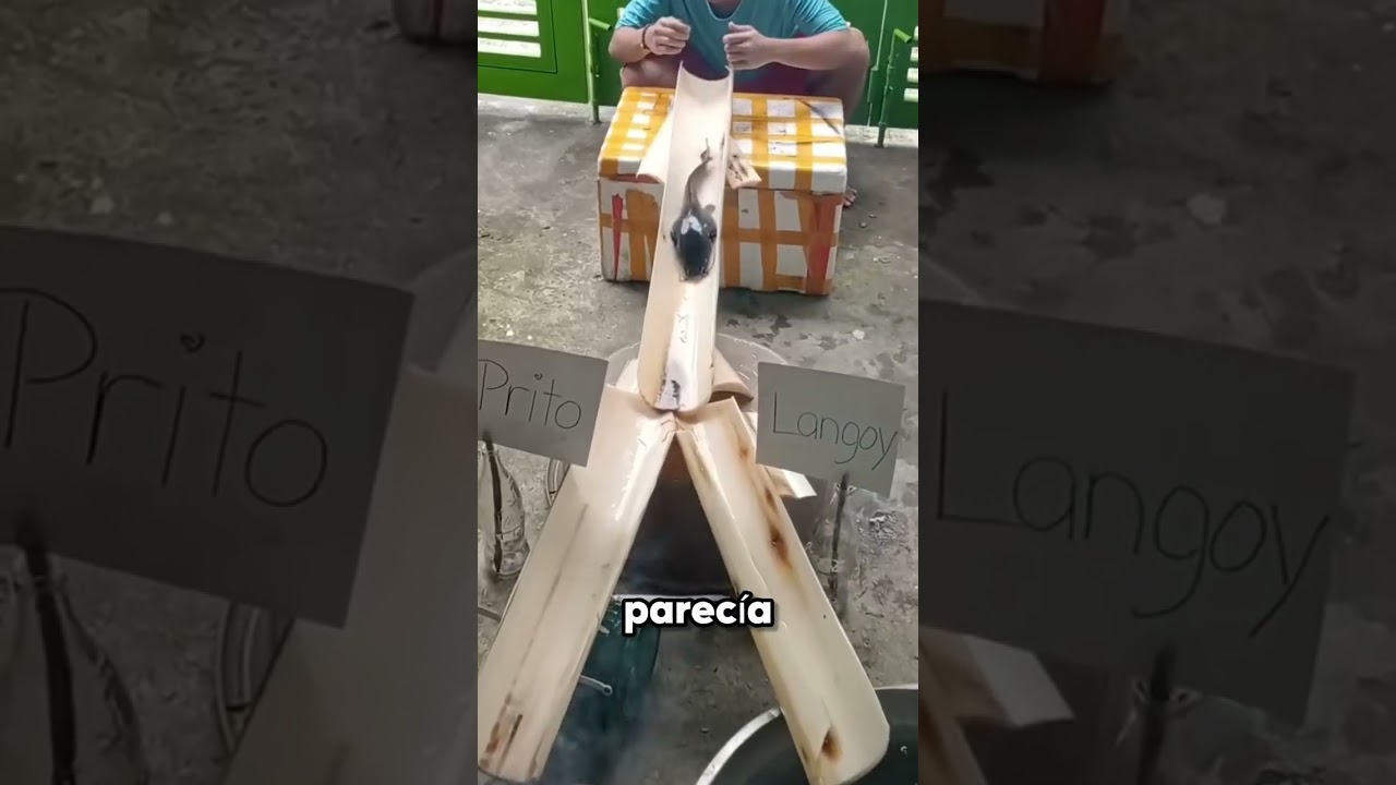 Juego Entretenido Con Pez