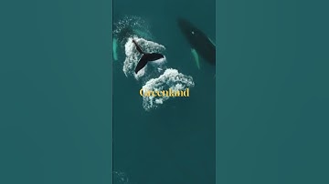 Luminar Adventure: NEW exciting destinations for 2024 #shorts #madewithluminar #luminarneo