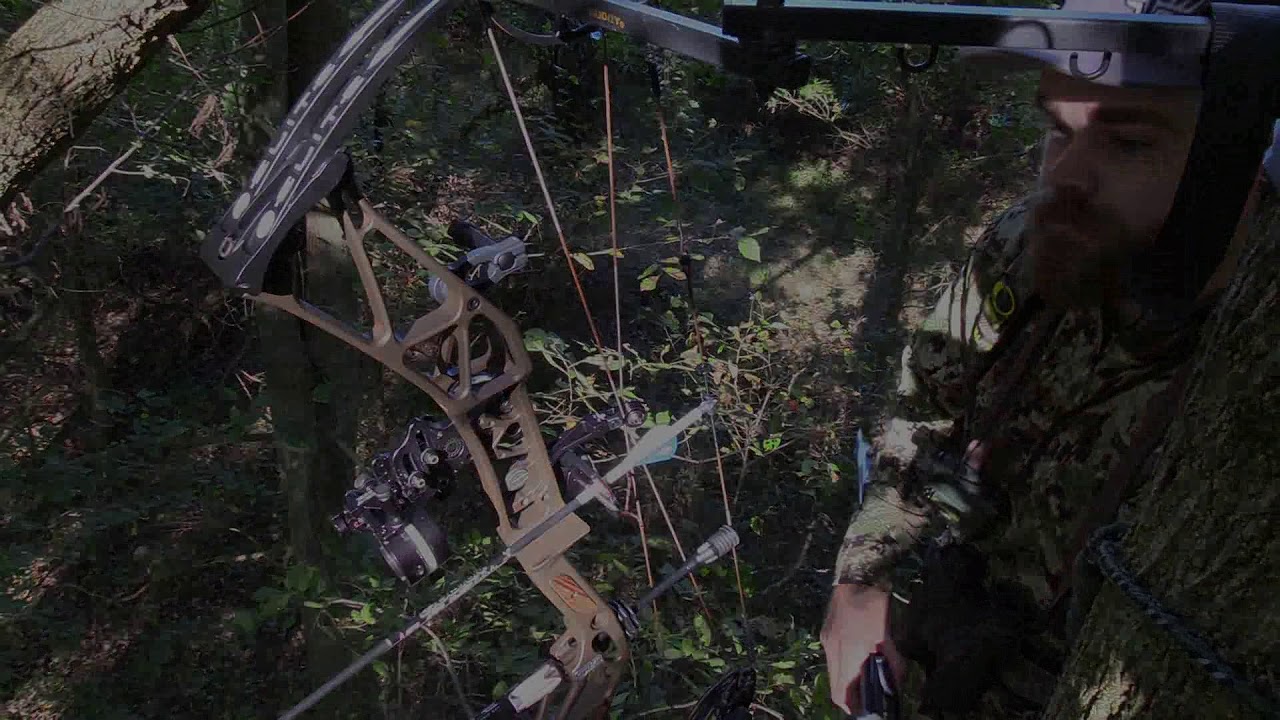 2019 Illinois Archery Whitetail Hunt YouTube