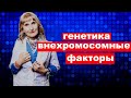 постулат # 150 генетика , внехромосомные факторы