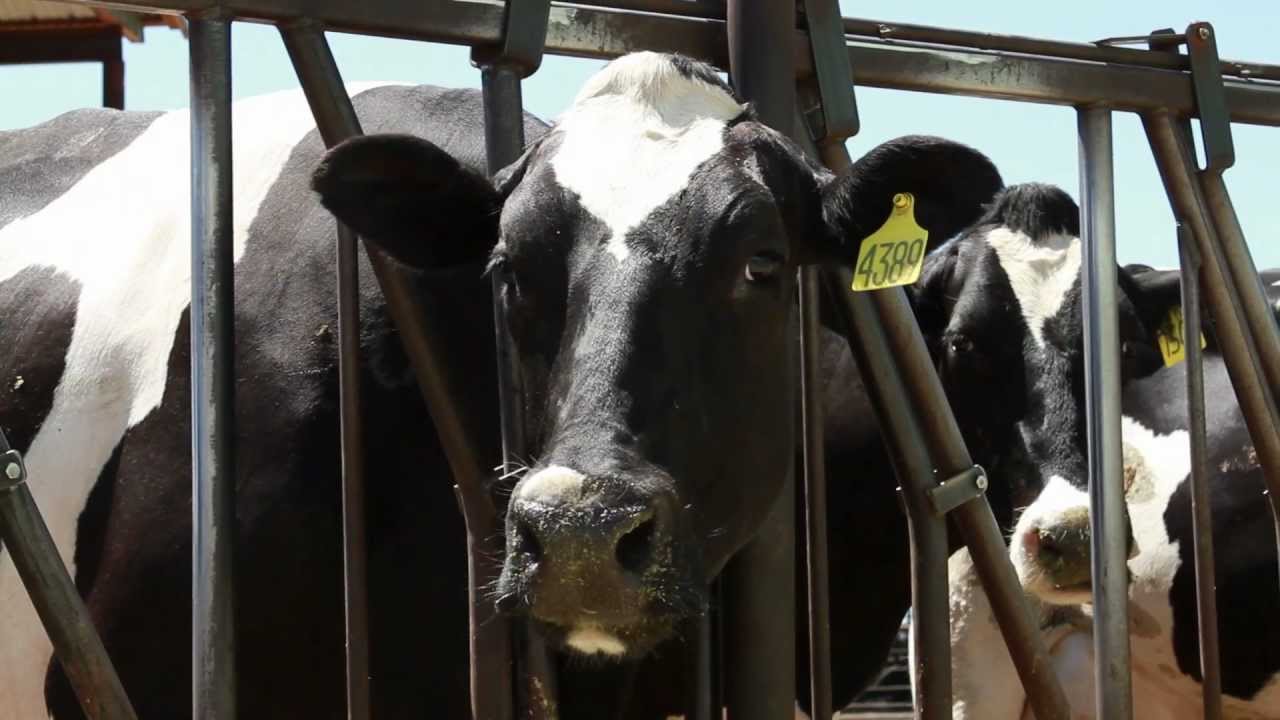 Cement Suitcase Day 1 recap