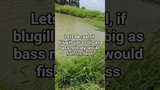Famous big blugigi #jesus #bassfishing #fishing #fishinglife #graygang Profile