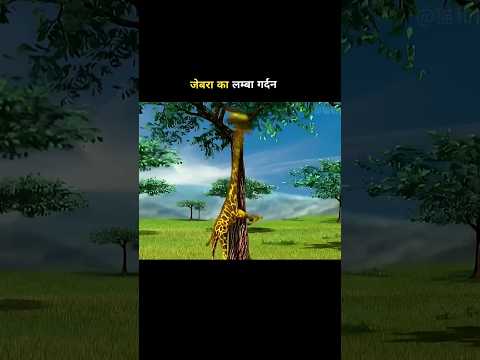 jinglu Ka Dar #shortvideo