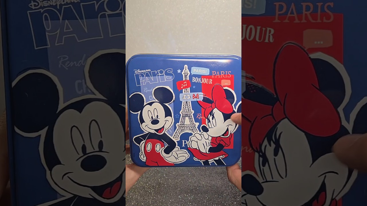 Disneyland Mystery Box 