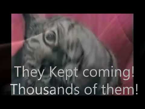 Cat has Gallic War flashback