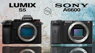 Panasonic Lumix S5 Vs Sony A6600