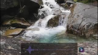 YENI INKA - OJO NANGIS (Official Music Video)