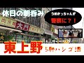 【東上野かつさんぽ】「びびび食堂」「東京苑」「肉maroおとんば」「スシロー」「かねいち」5軒ハシゴ呑み食い from HIGASHIUENO in JAPAN