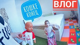 Влог / Маникюр своими руками! Кошка нассала на постель(((( Влог / Маникюр своими руками! Кошка нассала на постель((((