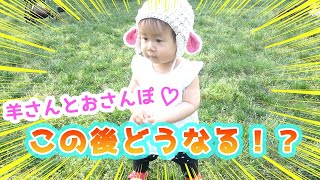 ついに一歩出るのか！？ひさしぶりのピクニックに出かけたよ♪【1歳３ヶ月】