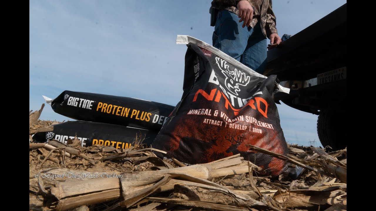 We Put Out Some Big Tine Deer Feed mineral YouTube we-put-out-some-big-tine-deer-feed-mineral-youtube