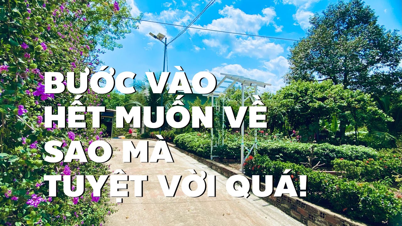 Bạn hàng xóm gồng ko nỗi phải nhượng lại khu nhà vườn đẹp như mơ