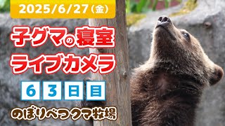 のぼりべつクマ牧場 公式Youtubeチャンネルの配信のサムネイル画像