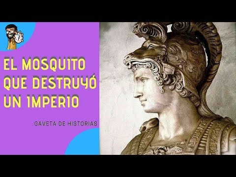 Video: ¿Qué pasó con el imperio de Alejandro el Grande después de su muerte?