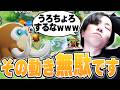 【極意】タンクのすべてこの"1本"で全部教えます【ポケモンユナイト】