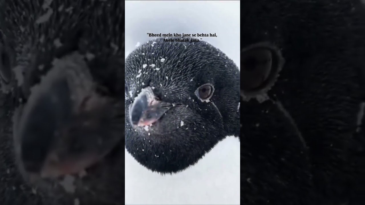 No anyone understands you please leave him.😢 