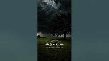 ﴿ يَسْمَعُ آيَاتِ اللَّهِ تُتْلَىٰ عَلَيْهِ ﴾ سورة الجاثية || القارئ الشيخ ياسر الدوسري