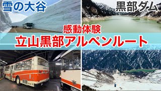 立山黒部アルペンルートに雪の大谷を見に行ったら予想以上に見所が目白押しだった