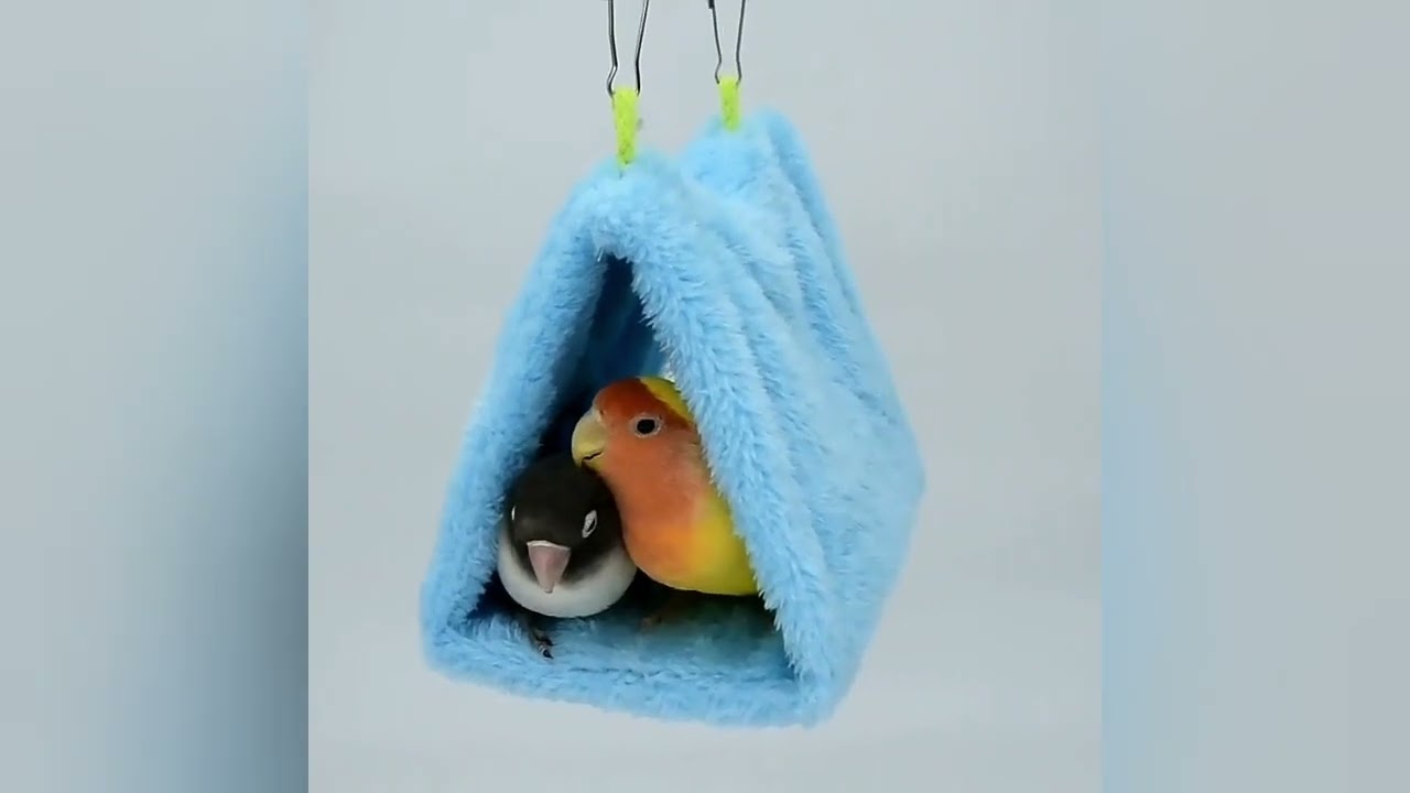Petjoy Fashion Pet Bird Parrot Cages Warm Hammock Hut Tent Bed Hanging Cave 👌🤞