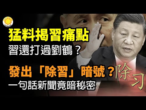 🔥猛料揭习痛点 习还打过刘鹤？发出“除习”暗号？一句话新闻竟然暗藏秘密；财新再触雷！《终有一别》被删，胡舒立微博清空【阿波罗网CY】