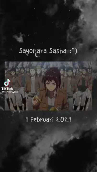 [Story WA Anime] Sayonara Sasha | Shingeki No Kyojin