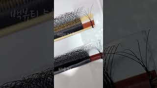 러시안볼륨 래쉬 5d 속눈썹 연장,백뷰티 속눈썹 글루 #animeeyes #eyelashextensions #lashlifting #eyelashlifting #lashes