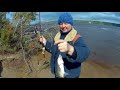 ура на рыбалке Северная Двина 2018г дача под Архангельском