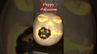 Details Giant White Pumpkin EATS Acorn Squash! 🎃 Creative Halloween Carving Ideas #halloween #pumpkin Guide