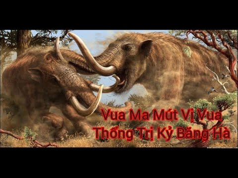 Hình Ảnh Voi Ma Mút - Những điều chưa biết về Voi ma mút