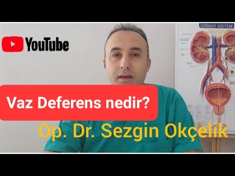 Video: Vas deferenslərin məqsədi nədir?