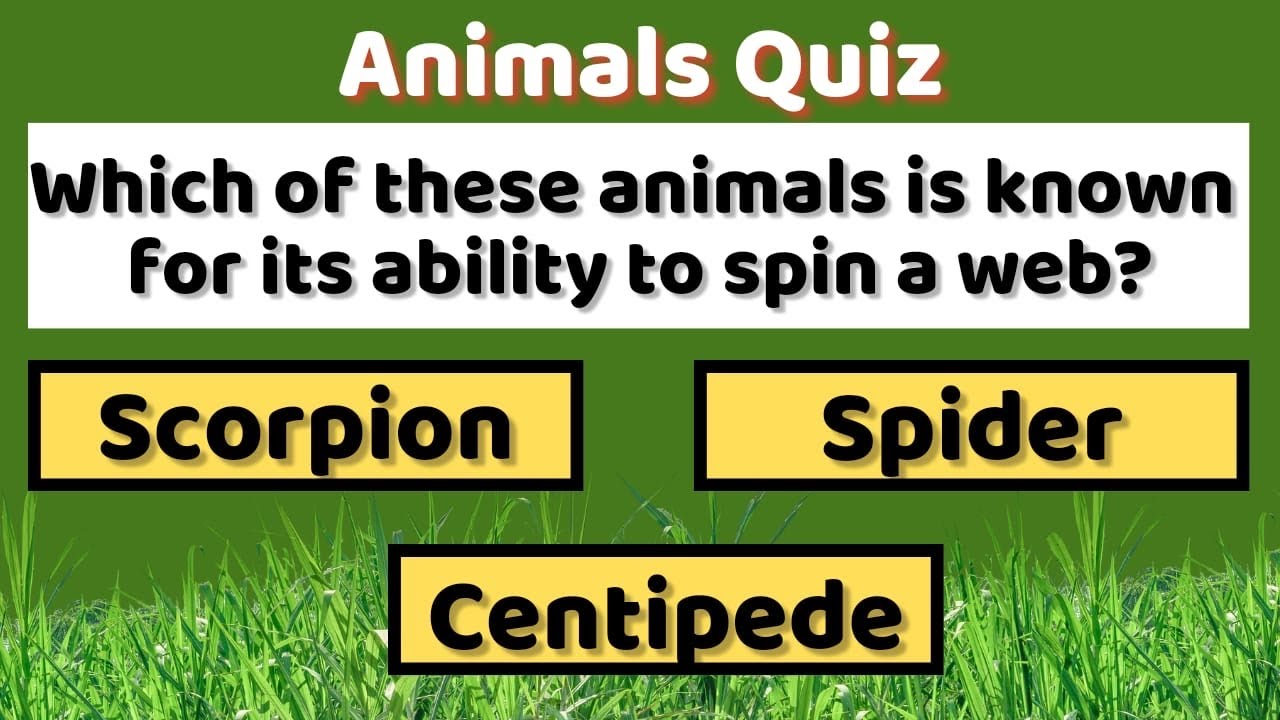 GK Quiz about Animals | Animals Quiz | GK Questions and Answers about ...
