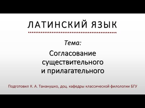 Латинский язык. Lingua Latina. Согласование существительного и прилагательного