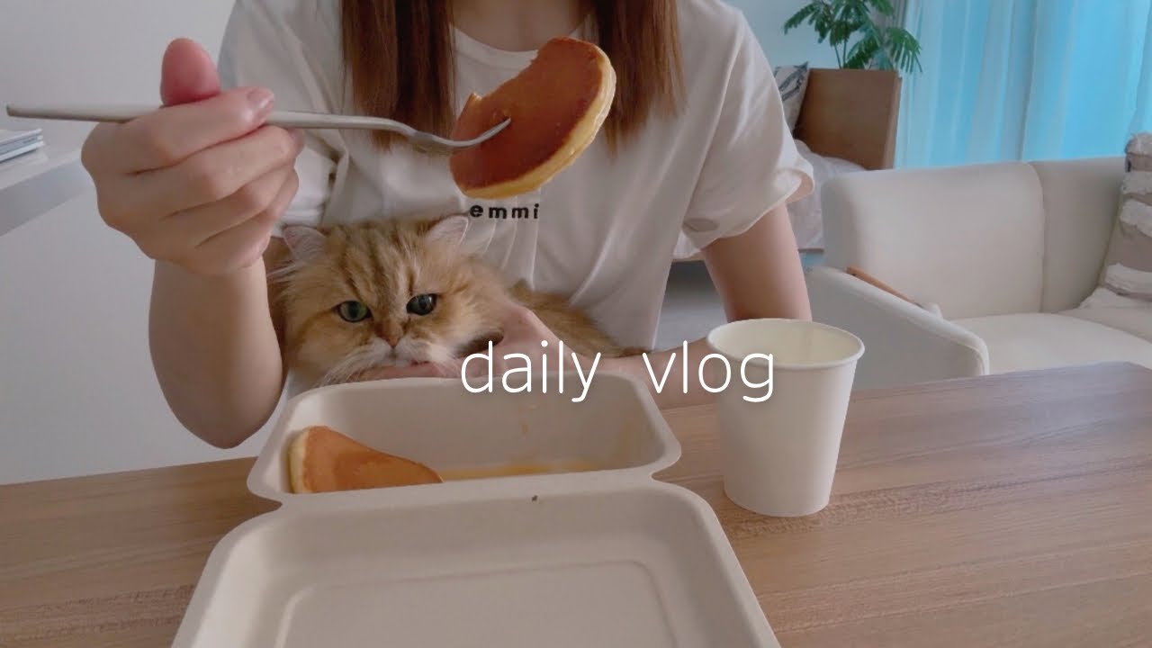 少しずつ秋を感じ始める🍂愛猫の体調不良を支える日々と皆様に少しお知らせ｜観葉植物のお手入れと生チョコ作り🍫｜一人暮らしの日常vlog