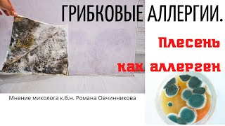 Грибковые аллергии. Плесень в автомобилях, стройматериалах, домах. Разбираем кейсы подписчиков -2020