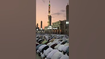سورة فاطر بتلاوة هادئة تريح القلب ❤️ #سورة_فاطر #تلاوة_هادئة #قرآن_كريم #راحة_نفسية #Quran #Islam