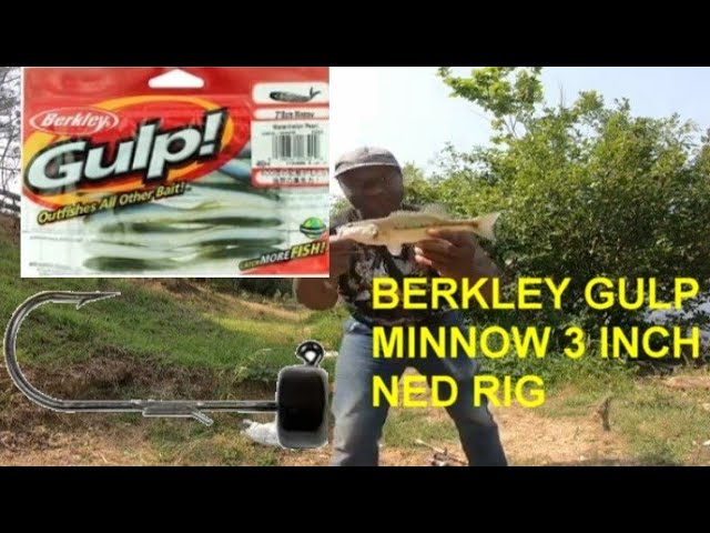 BERKLEY GULP MINNOW NED RIG 