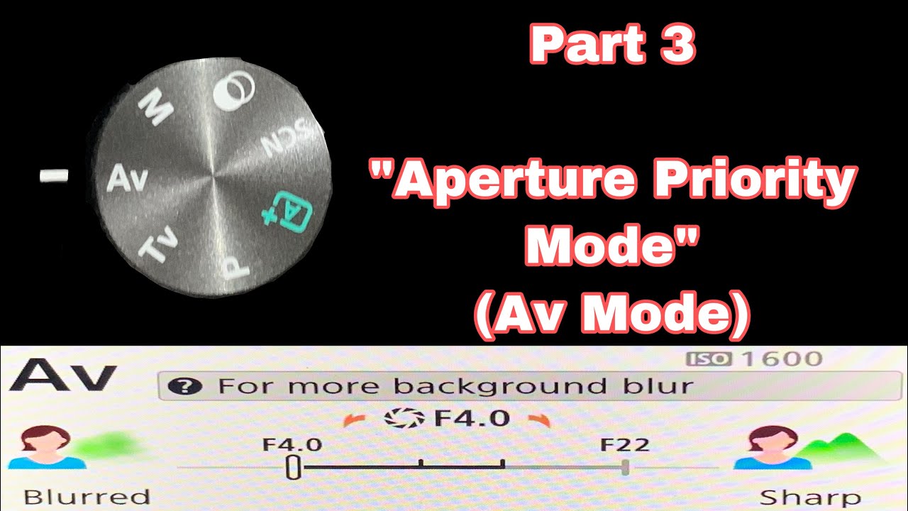 Photography Guide Part 3 || Aperture Priority Mode with Photo Samples ...