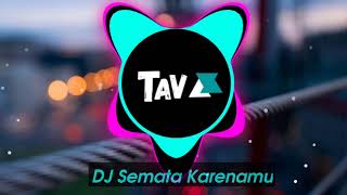 DJ TIKTOK TERBARU DJ SEMATA KARENAMU