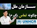 تماس با سازمان ملل 