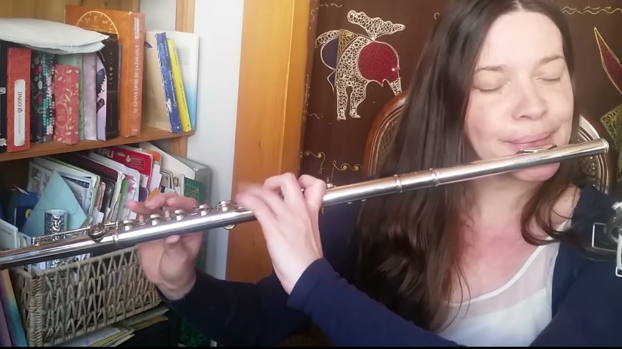 ☘️ Irish Flute / Feadóg Mhór ✨ The Quilty Shore & Paidin O'Raffertaigh (jigs)