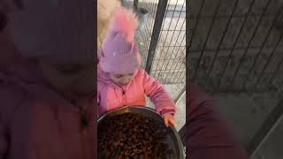 Elifsu Herkülü Beslemeyi Çok Seviyor