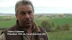Chasser en liberté dans le Tarn et Garonne
