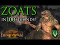 ZOATS in 100 seconds!