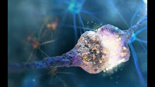 MNMD Time To Buy Beat-Down Mind Medicine (MindMed) Inc. (MNMD) Stock? Here Is The INSIGHT