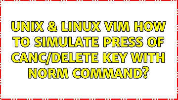 Unix & Linux: vim how to simulate press of canc/delete key with norm command?