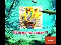 🔥Пробуди Внутреннего Шамана🔥 в RuTube - https://rutube.ru/channel/24858272/videos/