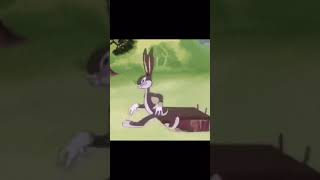 Chunga bunga